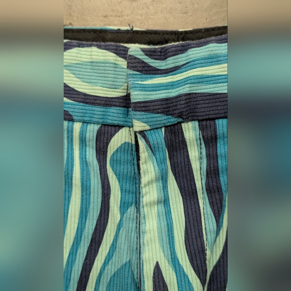 Mr. Turk Curdoroy Shorts, Size 30 - Picture 5 of 13